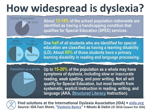 Dyslexic meaning